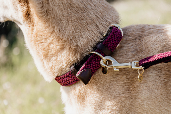 Smycz dla psa Kentucky Dogwear Plaited Nylon - 120 cm