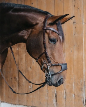 Nachrapnik do wędzidła hackamore/tandem Fager Marco