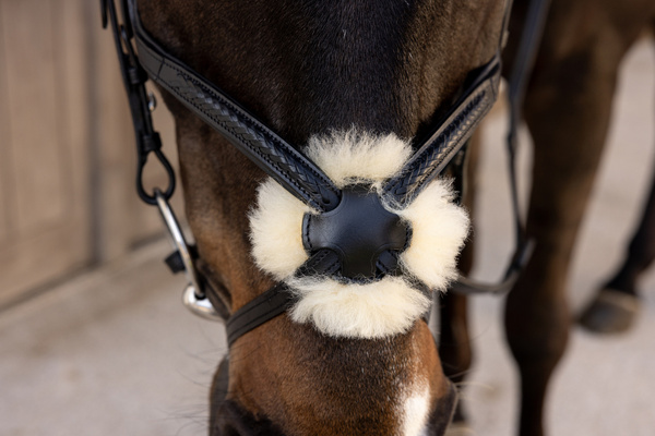 Ogłowie z nachrapnikiem meksykańskim Dy'on New EnglishCollection Plaited NEAOAV