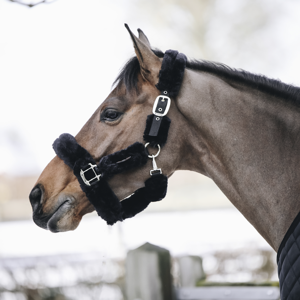 Kantar obszyty w całości syntetycznym futrem Kentucky Horsewear Sheepskin Shipping