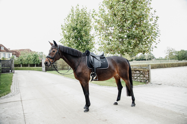 Czaprak ujeżdżeniowy Kentucky Horsewear Skin Friendly Star Quilting