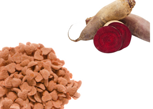 Smakołyki dla koni Equiherbs - Burak ćwikłowy Mini