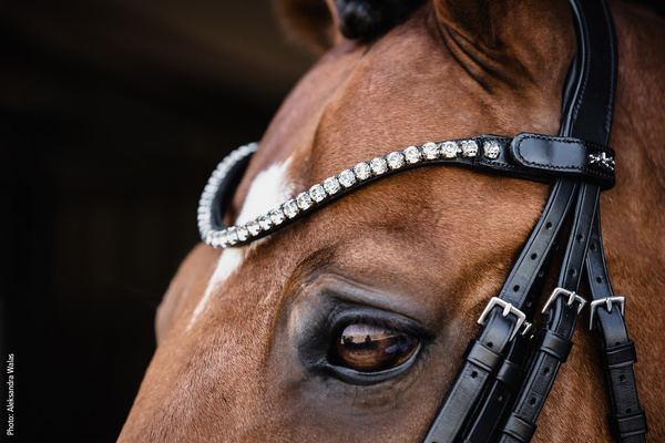 Ogłowie munsztukowe z nachrapnikiem szwedzkim Schockemöhle Sports Milazzo