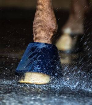 Kaloszki nawilżające kopyta Waldhausen Water