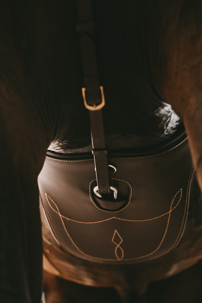 Popręg z fartuchem Kentucky Horsewear