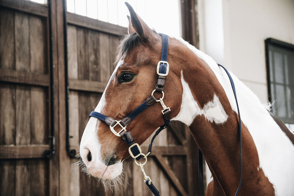 Kantar dla konia Kentucky Horsewear Plaited Nylon