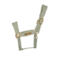 miętowy