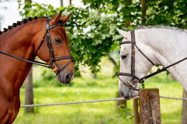 Wędzidło oliwkowe Winderen Gel Bits System