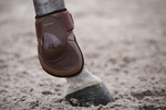 Ochraniacze tylne Kentucky Horsewear Deep Fetlock