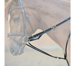 Wodze Thiedemanna Kavalkade