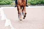 Ochraniacze ujeżdżeniowe z futrem Kentucky Horsewear Turnout Boots Leather - przody