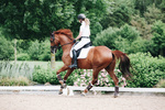 Ochraniacze ujeżdżeniowe z futrem Kentucky Horsewear Turnout Boots Leather - przody