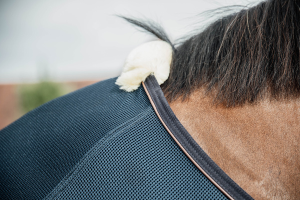Derka siatkowo-osuszająca Kentucky Horsewear Mesh Combo Cooler Sheet