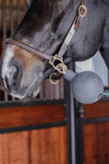 Kula ochronna do uwiązu Kentucky Horsewear