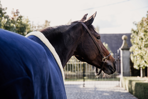 Kantar pielęgnacyjny ze skóry syntetycznej Kentucky Horsewear Leather Grooming Halter