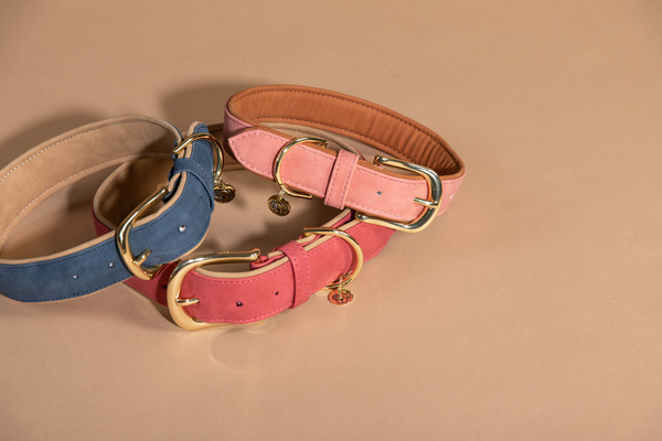 Obroża dla psa Kentucky Dogwear Soft Vegan Leather