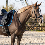 Wodze Thiedemanna QHP