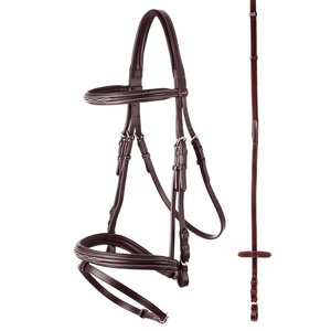 Ogłowie z nachrapnikiem kombinowanym Premiere Nancy