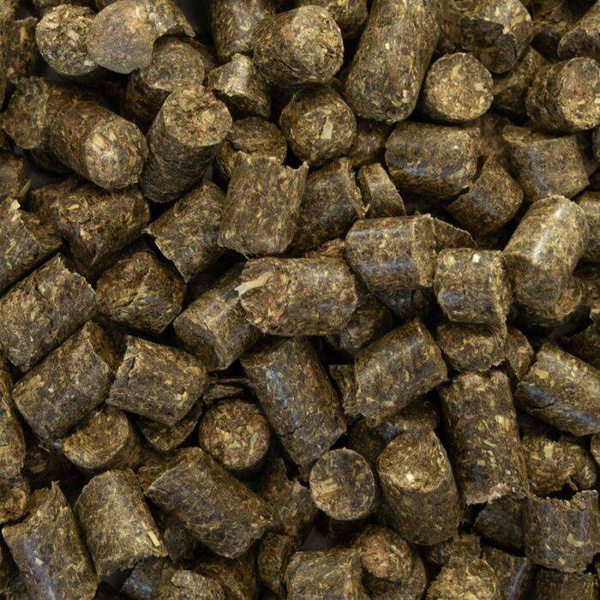 Smaczki jabłkowe SPEED Today, I choose Happiness!