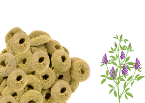 Smakołyki dla koni Equiherbs - Lucerna