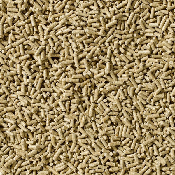 Koncentrat dla koni wyczynowych i hodowlanych SARACEN Stamm 30 Concentrate 20kg