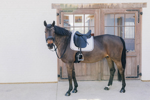 Czaprak ujeżdżeniowy Kentucky Horsewear Metal Chain