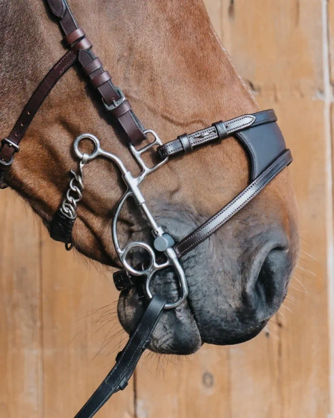 Nachrapnik do wędzidła hackamore/tandem Fager Marco