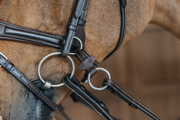 Ogłowie bezwędzidłowe 3w1 Dy'on Working Collection Motion WOCCCW