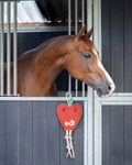 Zabawka do boksu QHP Horse Toy