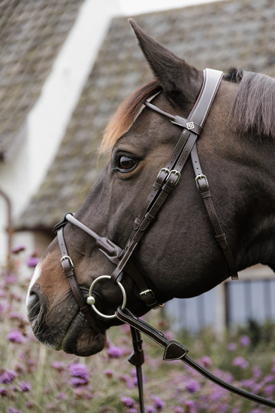 Ogłowie z nachrapnikiem kombinowanym Dy'on Working Collection Round WOARHY