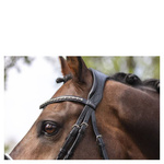 Ogłowie anatomiczne z lakierowanym nachrapnikiem szwedzkim ANKY® Comfort Fit Anatomical