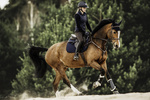 Ochraniacze ujeżdżeniowe z futrem Kentucky Horsewear Turnout Boots Leather - przody
