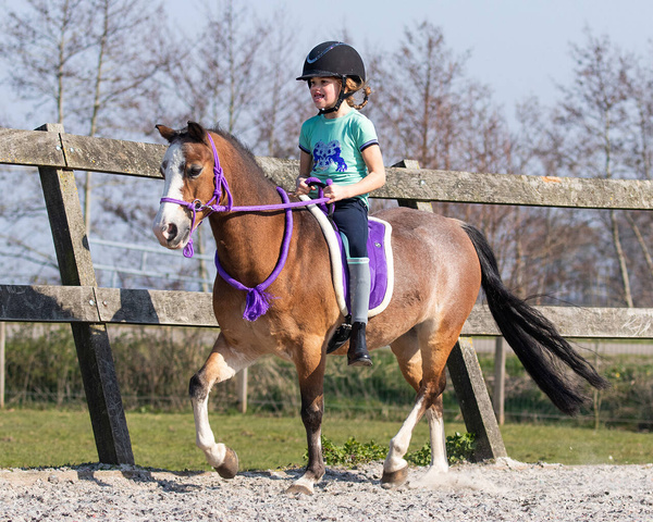 Kantar sznurkowy z wodzami QHP