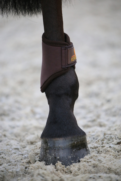 Ochraniacze tylne do codziennego użytku i na padok Kentucky Horsewear Turnout Boots 3D Spacer