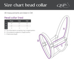 Kantar QHP Safety