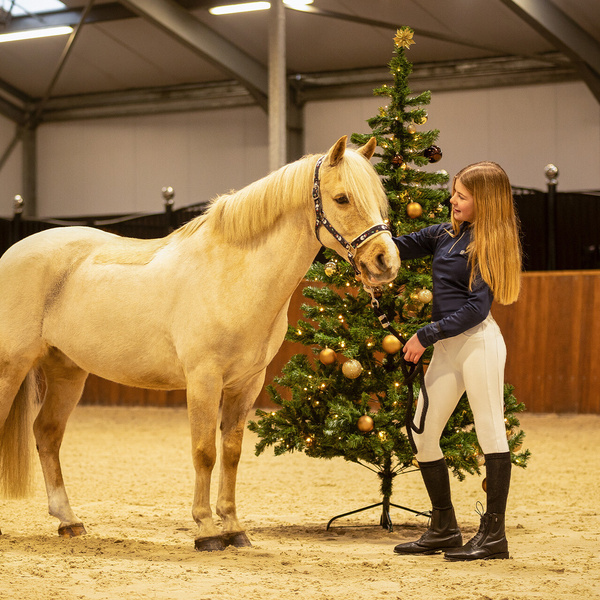 Podkolanówki jeździeckie QHP Christmas - 2-pak
