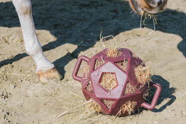 Piłka na siano dla konia Kentucky Horsewear Relax Horse Play & Hay Ball