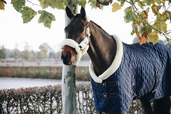Derka stajenna Kentucky Horsewear Show Rug Logo 160g