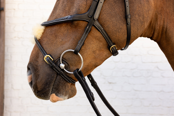 Ogłowie z nachrapnikiem meksykańskim Dy'on D Collection Plaited DYAOAV