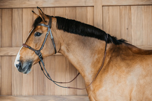 Ogłowie bezwędzidłowe Dy'on Working Collection WOCCXV