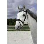 Ogłowie anatomiczne z nachrapnikiem szwedzkim Norton Pro Vague