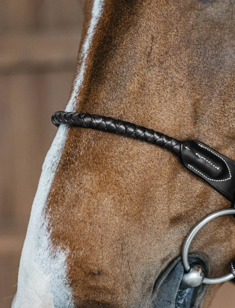 Ogłowie z plecionym nachrapnikiem skórzanym Dy'on D Collection DYARAY