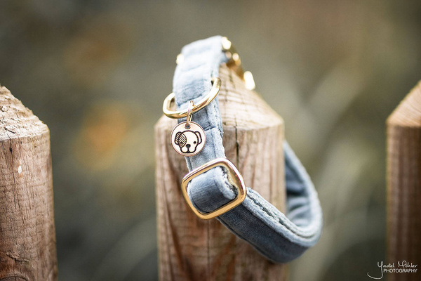 Obroża dla psa Kentucky Dogwear Velvet