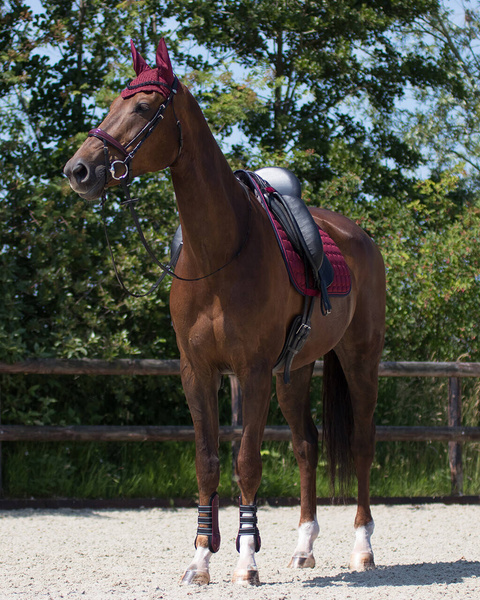 Nauszniki QHP Florence