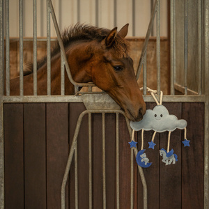 Zabawka do boksu QHP Horse Toy Novy