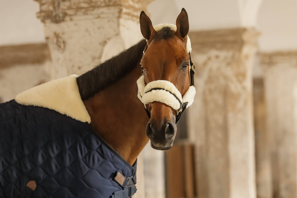 Derka stajenna Kentucky Horsewear Comfort 200g
