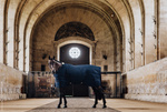 Derka stajenna Kentucky Horsewear Classic 200g