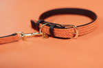 Smycz dla psa Kentucky Dogwear Plaited Nylon - 120 cm