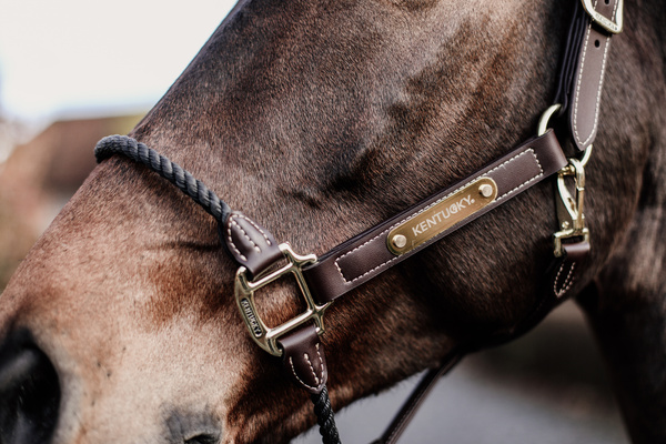 Kantar z nachrapnikiem sznurkowym Kentucky Horsewear Leather Rope