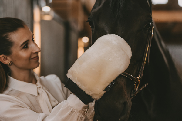 Rękawica do czyszczenia Grooming Deluxe